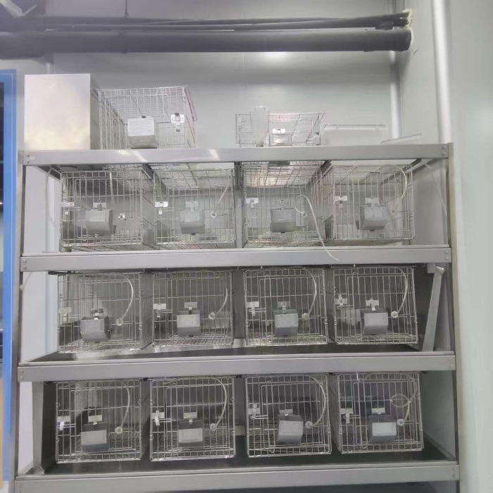 Laboratory Rabbit Cages: GCC-RB150-3 & SPF GCC-RBS53P-6 Stainless Steel ...