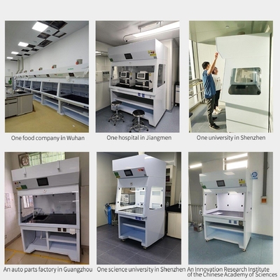 Laboratory Laminar Fume Hood Cupboard PP Ductless Fume Hood Cabinets