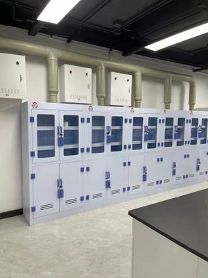 Customized Lab Chemical Reagent Cabinet High Durability