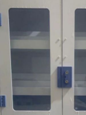 Customized Lab Chemical Reagent Cabinet High Durability