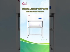 Vertical Flow Clean Bench